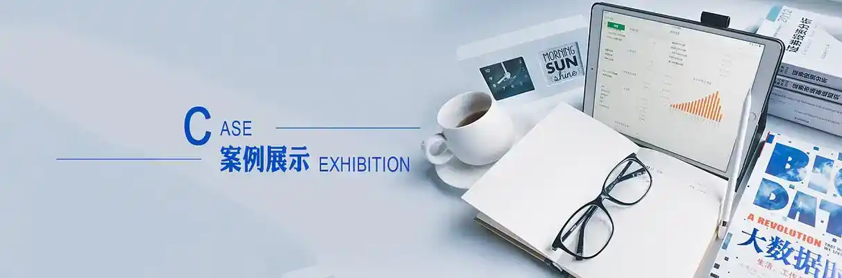 茶陵县软件开发